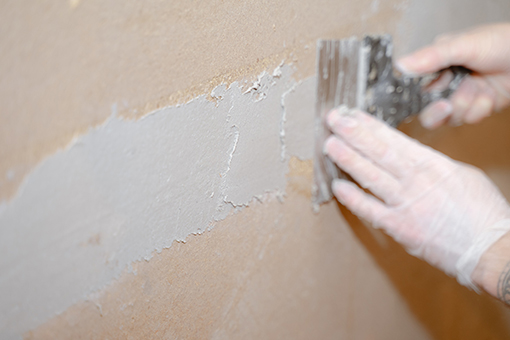 Tampa-based House Painter Plastering a Wall For Drywall Repair