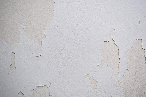 Wall With Paint Starting To Peel Off In Need of House Painters Servicing Tampa Florida