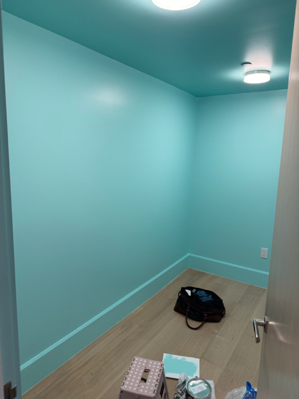 Nursery Painted Green by House Painters in Land O Lakes Florida