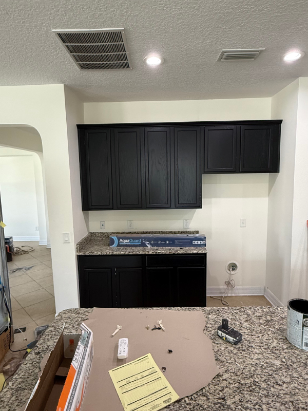 Newly Painted Kitchen Cabinets in Lutz FL